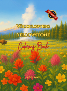 a- wilder - wildflowers in yellowstone