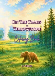 Books A. Wilder - On the trails of Yellowstone